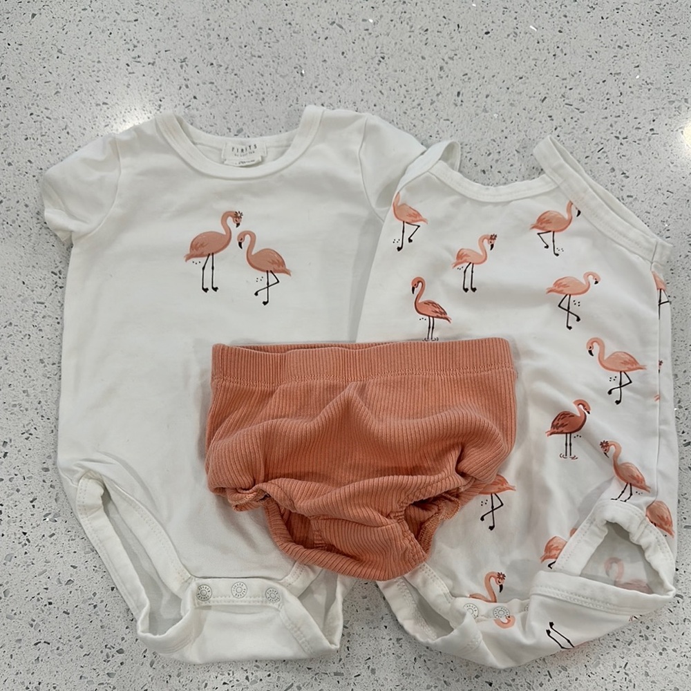 EUC Petit Lem Flamingo Print Kids Bodysuit Set - White and Pink